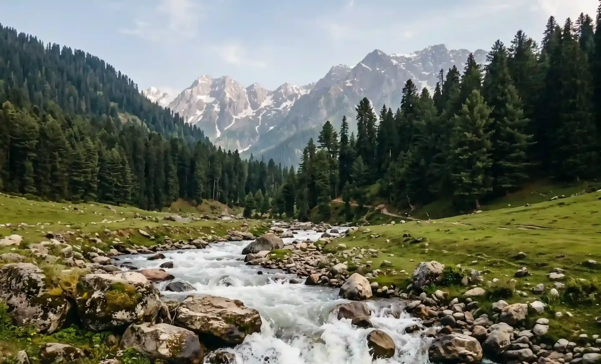 Doodh Ganga River Nature Walk: A Peaceful Day in Doodhpathri, Kashmir