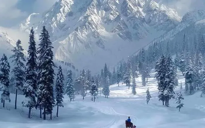 Best Kashmir Holiday Packages | Special Official Trip