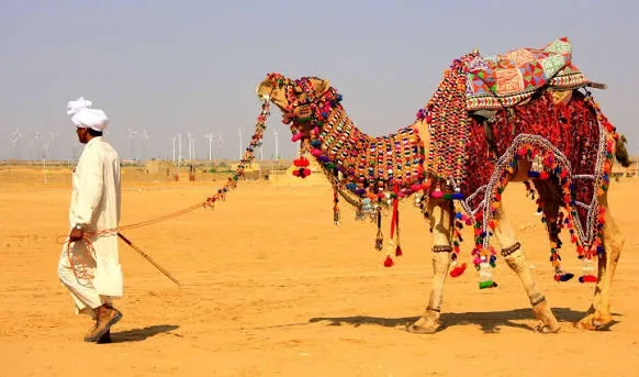 Best Rajasthan Group Tour with Desert Safari | 8 Days 7 Nights