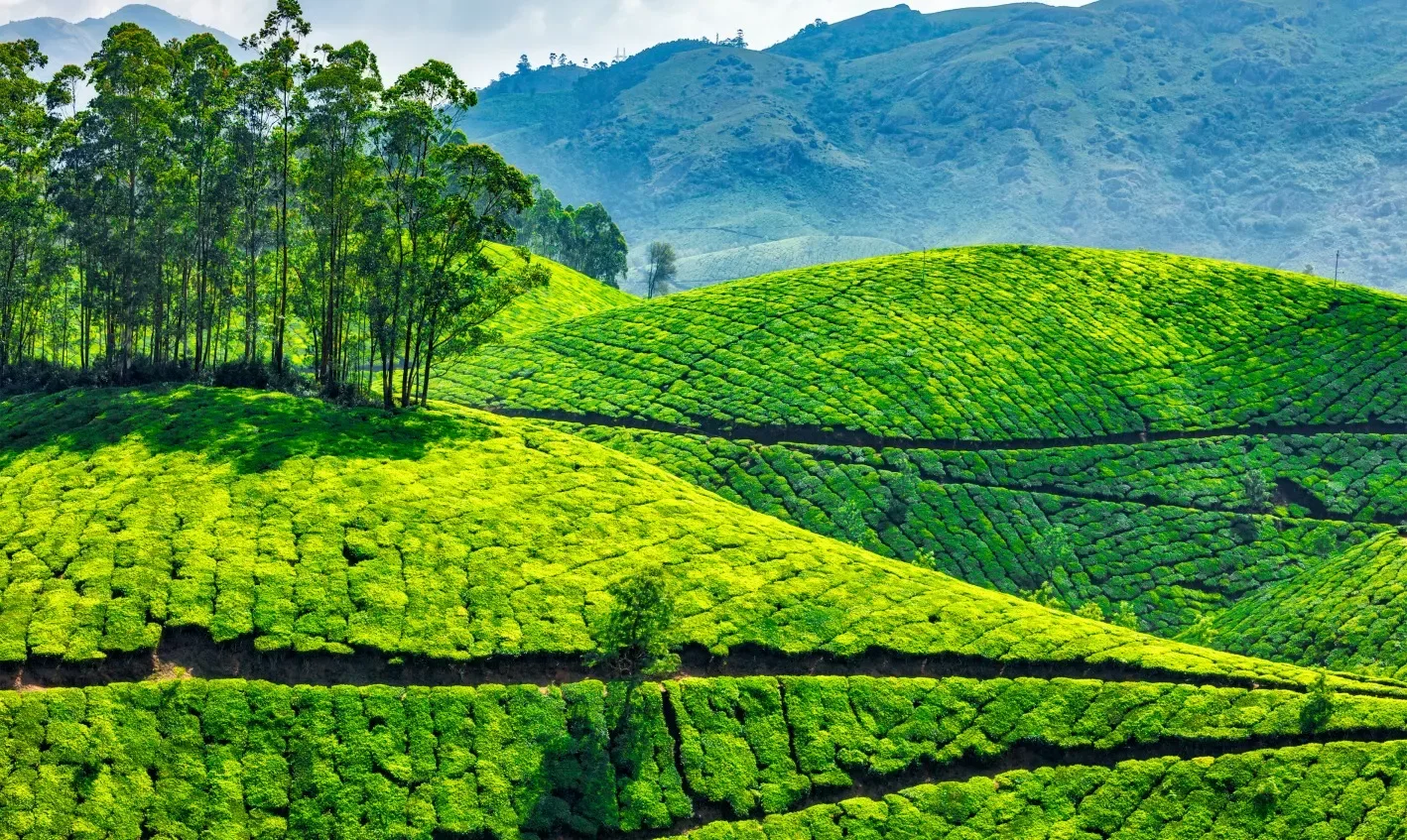 Kerala Group Tour Package | 6 Days 5 Nights