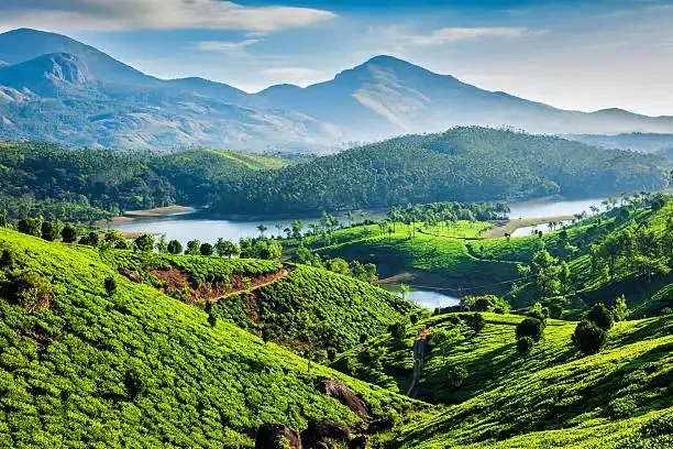 Kerala tour packages : Kochi, Munnar & Backwaters Getaway