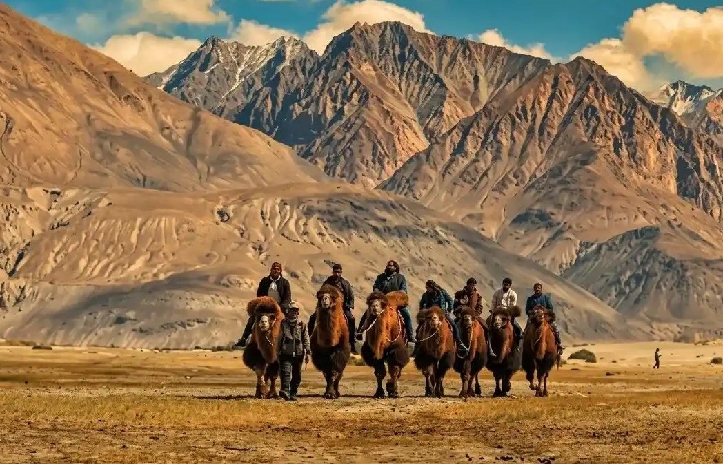 leh ladakh family tour packages
